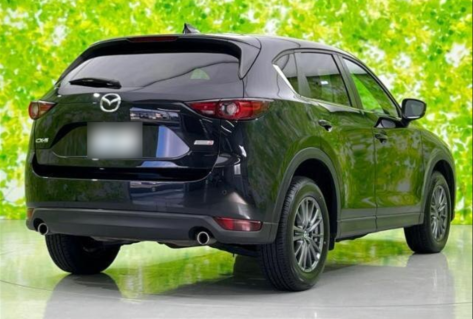 2019 Mazda CX-5 rear and side view 
