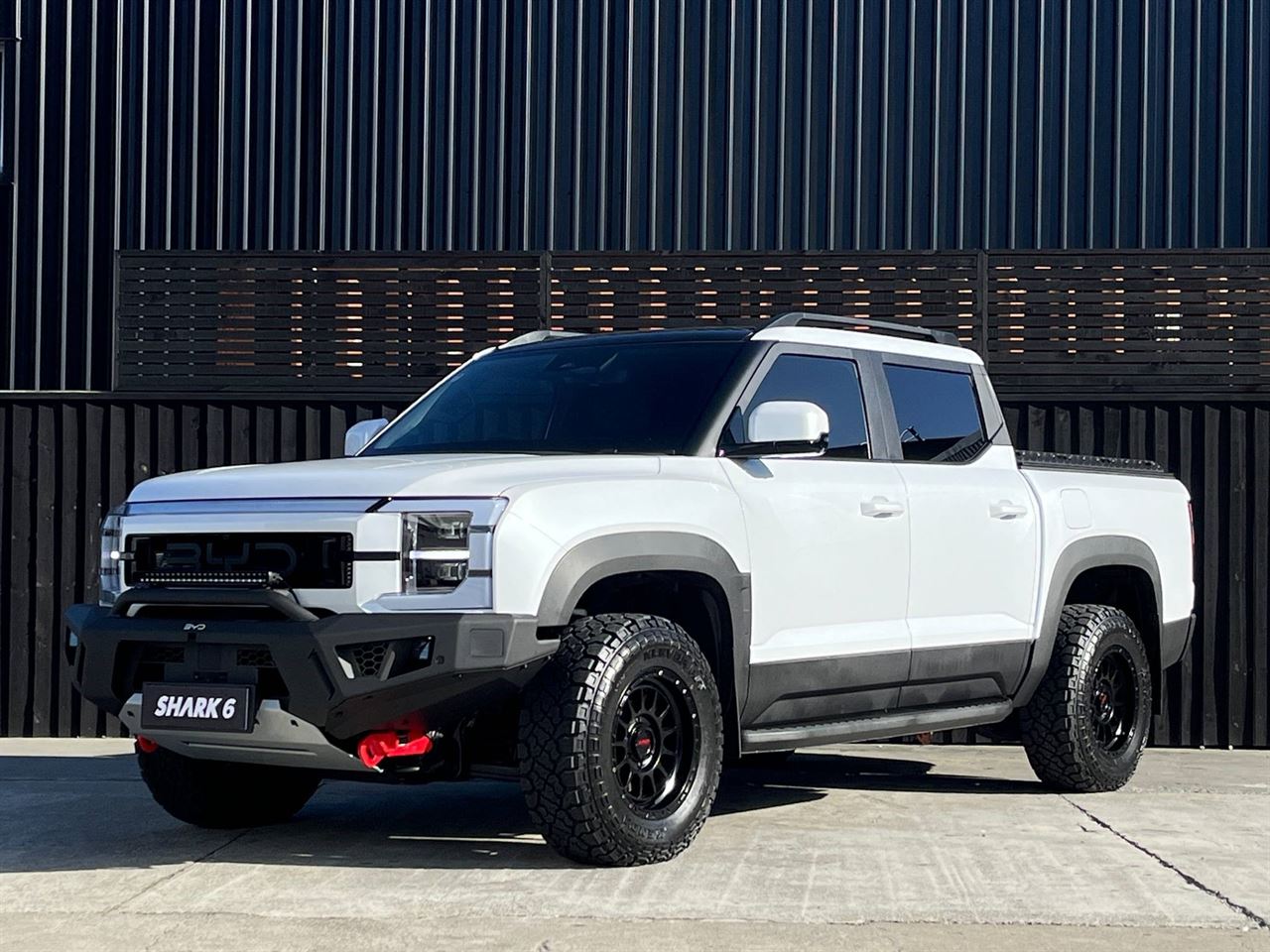 2025 BYD Shark 6