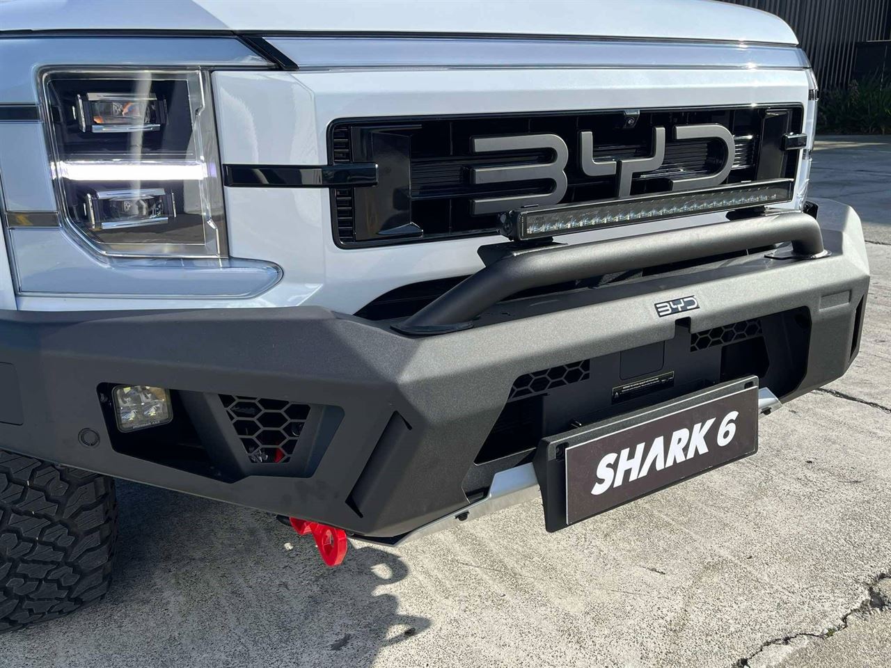 2025 BYD Shark 6